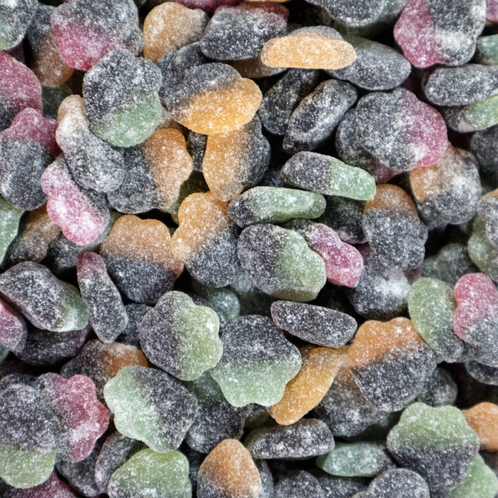 Kuningas Leijona 3,00kg