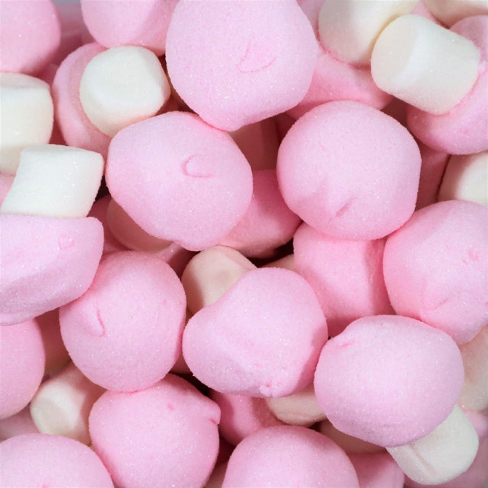 Vaahtosieni 100g